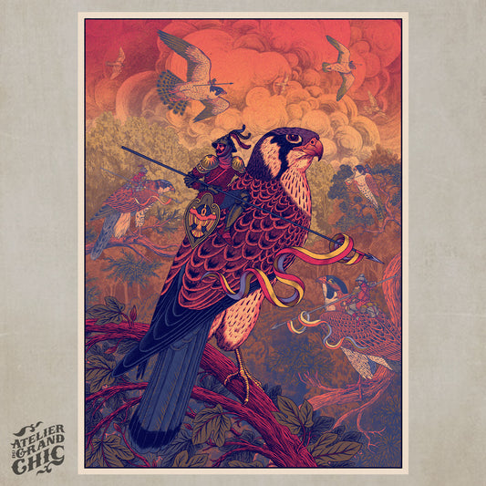FALCON - Douwe Dijkstra
