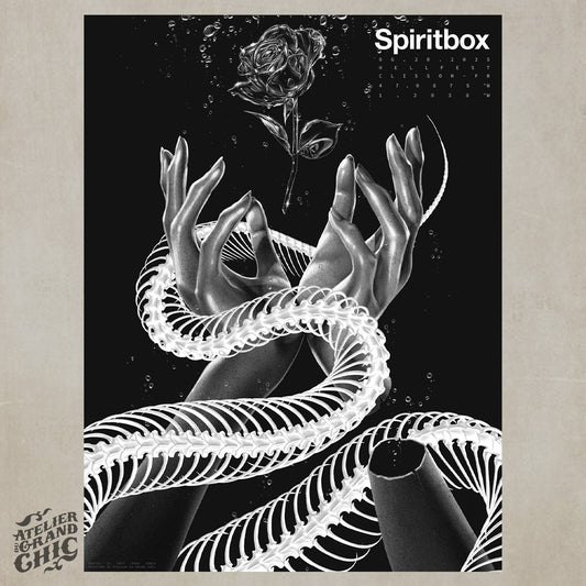 SPIRITBOX - Matt Ryan Tobin